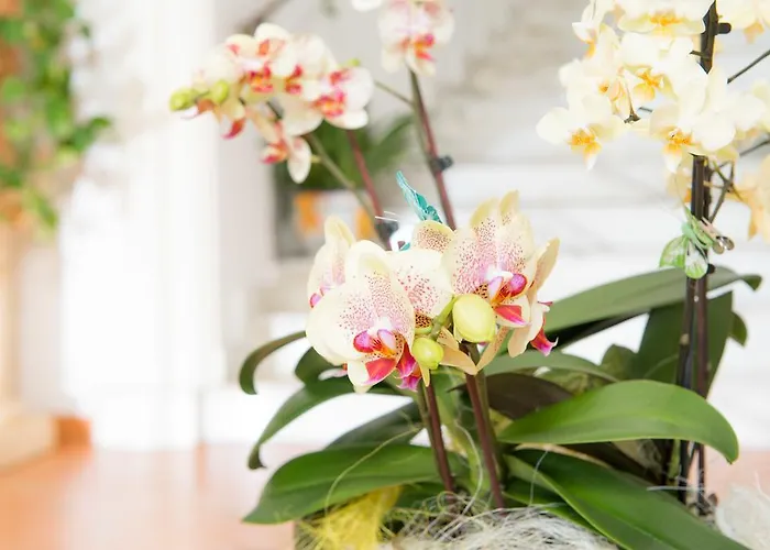 Hotel Royal Prisco Positano